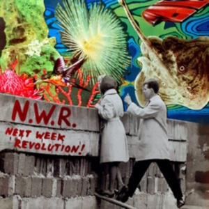Next Week Revolution N.W.R. - Next Week Revolution in the group VINYL / Dance-Techno at Bengans Skivbutik AB (4077194)