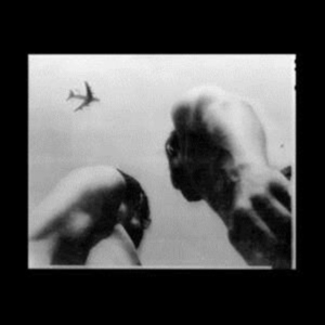 Adams Eve - Metal Bird in the group VINYL / Elektroniskt,Svensk Folkmusik,World Music at Bengans Skivbutik AB (4095131)