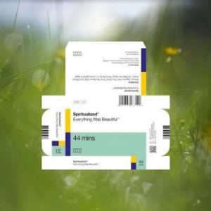 Spiritualized - Everything Was Beautiful in the group VINYL / Pop-Rock at Bengans Skivbutik AB (4096325)