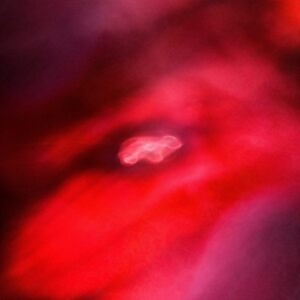 Saffronkeira And Siavash Amini - The Faded Orbit in the group VINYL / Pop-Rock at Bengans Skivbutik AB (4098063)