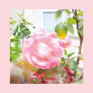 Reds Pinks & Purples - Summer At Land's End in the group CD / Pop-Rock at Bengans Skivbutik AB (4098113)
