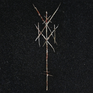 Wiegedood - There's Always Blood At The End Of The Road in the group VINYL / Hårdrock at Bengans Skivbutik AB (4101070)