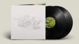 Big Thief - Dragon New Warm Mountain I Believe in the group OUR PICKS / Best albums of 2022 / NME 22 at Bengans Skivbutik AB (4103400)