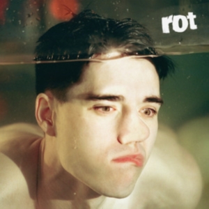 Tennyson - Rot in the group VINYL / Dance-Techno at Bengans Skivbutik AB (4103403)