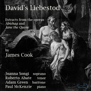 Cook James - David's Liebestod in the group Externt_Lager /  at Bengans Skivbutik AB (4112899)
