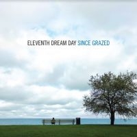Eleventh Dream Day - Since Grazed in the group CD / Pop-Rock at Bengans Skivbutik AB (4113268)