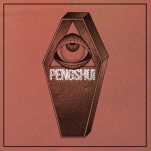 Pengshui - Destroy Yourself (Vinyl) in the group OTHER / Övrigt /  at Bengans Skivbutik AB (4115248)