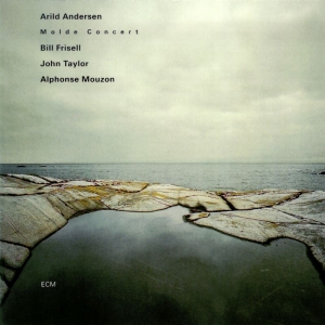 Andersen Arild - Molde Concert in the group CD / New releases / Jazz/Blues at Bengans Skivbutik AB (4115569)