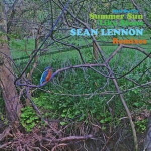 Berry Matt - Summer Sun (Sean Ono Lennon Remix) in the group VINYL / Pop-Rock,World Music at Bengans Skivbutik AB (4116095)