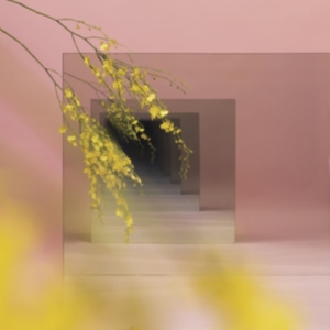 Witxes - Orients in the group CD / Ambient,Dance-Techno at Bengans Skivbutik AB (4117756)