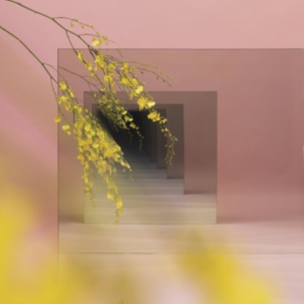 Witxes - Orients in the group CD / Dans/Techno at Bengans Skivbutik AB (4117756)