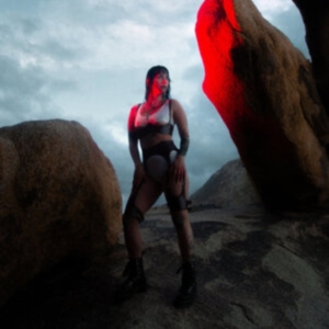 Pale Spring - Dusk in the group VINYL / Pop-Rock at Bengans Skivbutik AB (4117906)