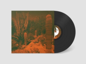 Knowler Cameron & Eli Winter - Anticipation in the group VINYL / Svensk Folkmusik,World Music at Bengans Skivbutik AB (4117907)