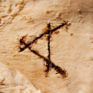 Casselsá - Gut Feeling in the group CD / Pop-Rock at Bengans Skivbutik AB (4119874)