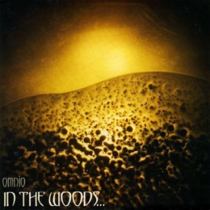 In The Woods - Omnio (Digipack) in the group CD / Hårdrock,Norsk Musik at Bengans Skivbutik AB (4120136)