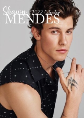 Shawn Mendes - Unofficial 2022 Calendar in the group Labels /  at Bengans Skivbutik AB (4124089)