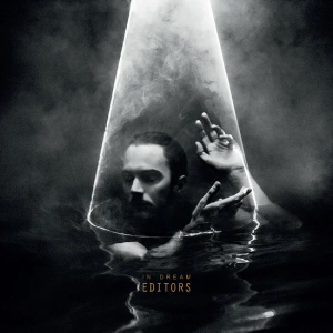 Editors - In Dream (Clear Vinyl) in the group VINYL / Rock at Bengans Skivbutik AB (4125640)