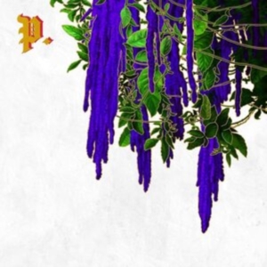 Proper. - Great American Novel (Clear & Splat in the group VINYL / Pop-Rock at Bengans Skivbutik AB (4126943)