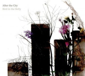 Bird In The Belly - After The City in the group CD / Worldmusic/ Folkmusik at Bengans Skivbutik AB (4128736)
