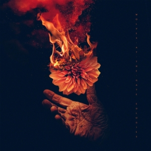 Wolves At The Gate - Eulogies in the group CD / Hårdrock at Bengans Skivbutik AB (4128766)