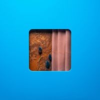 Modern Error - Victim Of A Modern Age in the group CD / Pop-Rock at Bengans Skivbutik AB (4128788)