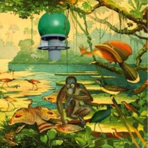 Various Artists - Radar 2 in the group VINYL / Pop-Rock at Bengans Skivbutik AB (4131518)