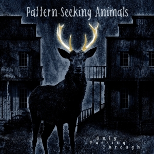 Pattern-Seeking Animals - Only Passing Through in the group VINYL / Hårdrock,Pop-Rock at Bengans Skivbutik AB (4132969)
