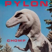Pylon - Chomp (Indie Exclusive, Black Casse in the group Pop-Rock at Bengans Skivbutik AB (4134342)