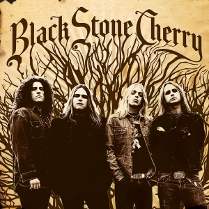 Black Stone Cherry - Black Stone Cherry in the group VINYL / Rock at Bengans Skivbutik AB (4138830)