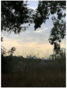 Porras Jon - Arroyo in the group VINYL / Pop-Rock at Bengans Skivbutik AB (4139690)