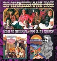 Strawberry Alarm Clock - Incense And Peppermints / Wake Up.. in the group CD / Pop-Rock at Bengans Skivbutik AB (4139759)
