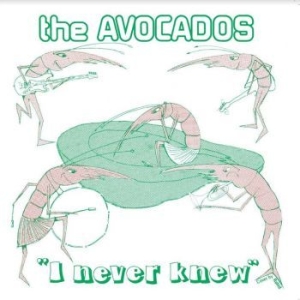 Avocados - I Never Knew in the group VINYL / Pop at Bengans Skivbutik AB (4143142)