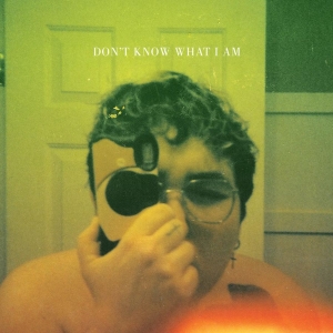 Alien Boy - Don't Know What I Am (Coke Bottle C in the group VINYL / Hårdrock,Pop-Rock at Bengans Skivbutik AB (4143151)