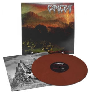 Cancer - Sins Of Mankind (Mahogany Vinyl Lp) in the group VINYL / Hårdrock at Bengans Skivbutik AB (4143200)