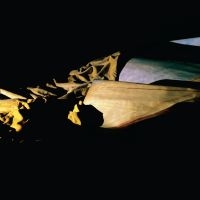 Holy Other - Lieve in the group VINYL / Bestsellers at Bengans Skivbutik AB (4143346)