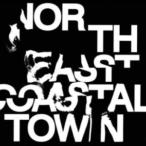 Life - North East Coastal Town (Green) in the group VINYL / Rock at Bengans Skivbutik AB (4143926)