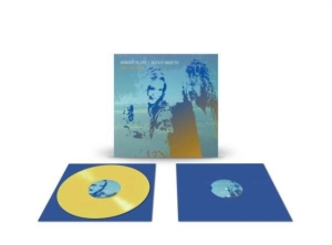 Robert Plant & Alison Krauss - Raise The Roof (Ltd Indie Yellow Vinyl) in the group VINYL / Vinyl Top Sellers 2020- at Bengans Skivbutik AB (4144348)