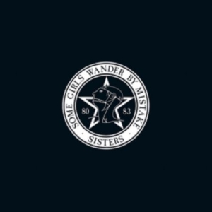 Sisters Of Mercy - Some Girls Wander By Mistake BOX in the group OTHER /  /  at Bengans Skivbutik AB (4144660)