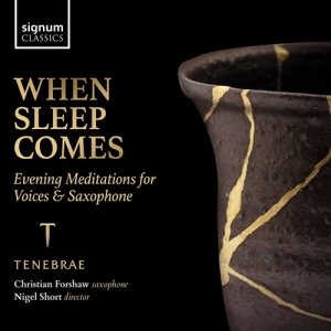 Traditional Hildegard Von Bingen - When Sleep Comes - Evening Meditati in the group CD / Klassiskt at Bengans Skivbutik AB (4145990)