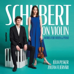 Schubert Franz - Schubert On Violin - Works For Viol in the group CD / Klassiskt at Bengans Skivbutik AB (4146002)