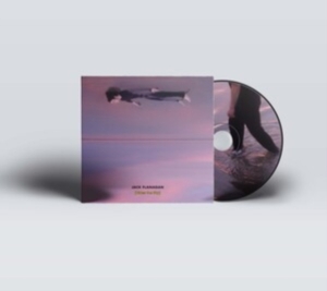 Flanagan Jake - Rides The Sky in the group CD / Pop-Rock at Bengans Skivbutik AB (4147271)