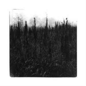 Bennet David & Vilhelm Bromander - Within Reach Of Eventuality in the group CD / Jazz at Bengans Skivbutik AB (4147282)