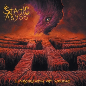 Static Abyss - Labyrinth Of Veins in the group VINYL / Hårdrock at Bengans Skivbutik AB (4147950)