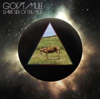 Gov't Mule - Dark Side Of The Mule (Glow In The in the group VINYL / Blues,Jazz at Bengans Skivbutik AB (4151066)