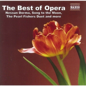 Various - The Best Of Opera in the group OTHER /  / CDON Jazz klassiskt NX at Bengans Skivbutik AB (4151219)