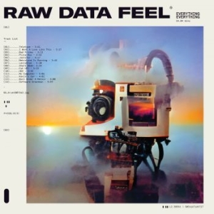 Everything Everything - Raw Data Feel (Pink) in the group VINYL / Pop at Bengans Skivbutik AB (4154327)