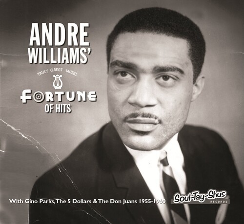 Williams Andre - Fortune Of Hits in the group CD / Bestsellers at Bengans Skivbutik AB (4154372)