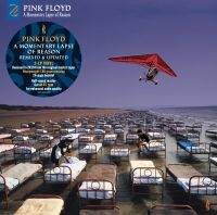 Pink Floyd - A Momentary Lapse Of Reason (2 in the group OTHER / -Start Vinyl-N at Bengans Skivbutik AB (4155681)