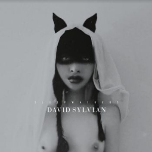 David Sylvian - Sleepwalkers in the group VINYL / Pop-Rock at Bengans Skivbutik AB (4156299)