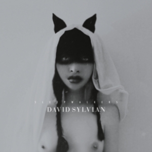 David Sylvian - Sleepwalkers in the group VINYL / Pop-Rock at Bengans Skivbutik AB (4156299)